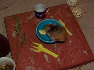 K800_IMG_5563 Wettbewerb 3.JPG