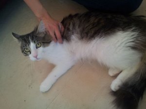 2012-05-25 15.31.17.jpg 2012-05-25 15.31.17.jpg