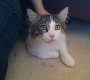 2012-05-25 15.31.32.jpg 2012-05-25 15.31.32.jpg