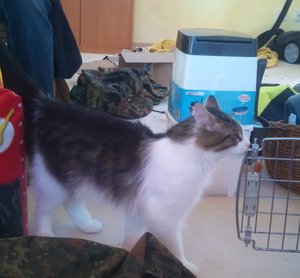 DSC00020.JPG DSC00020.JPG