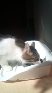 DSC00030.JPG DSC00030.JPG