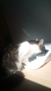 DSC00031.JPG DSC00031.JPG