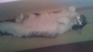 DSC00037.JPG DSC00037.JPG