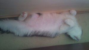 DSC00039.JPG DSC00039.JPG