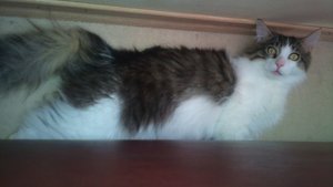 DSC00044.JPG DSC00044.JPG