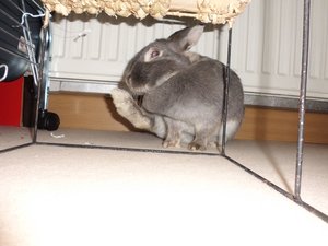 CIMG2641 - Kopie.JPG