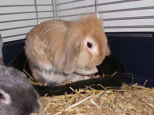 CIMG2521 - Kopie.JPG