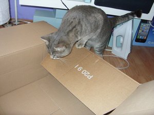 Kartonbild.JPG Kartonbild.JPG