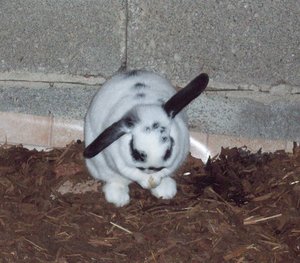 100_2845 - Kopie.JPG