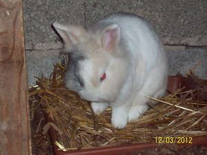 100_2836 - Kopie - Kopie.JPG