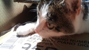 gucci carton.jpg gucci carton.jpg