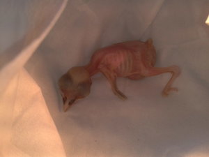 2012-05-26 13.45.36.jpg