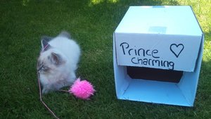 DSC00048.JPG DSC00048.JPG