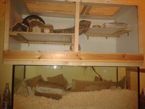 l4cdgudmglo3.jpg l4cdgudmglo3.jpg