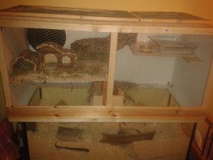 t2uw2ef5hb4.jpg t2uw2ef5hb4.jpg