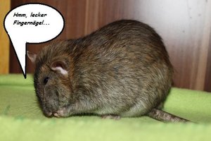 IMG_5544.JPG IMG_5544.JPG