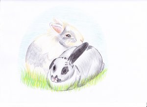 Lilli unhd Miko 001.jpg