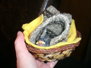 Spatz kuschelt KB.jpg