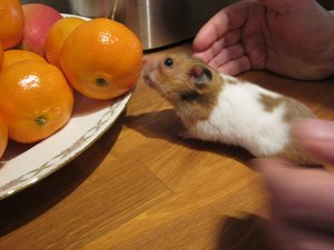 Ferien Januar 006.JPG