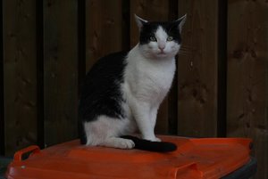 schw.jpg.JPG schw.jpg.JPG