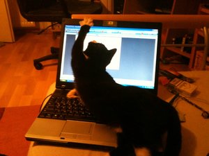 schleppi.jpg schleppi.jpg