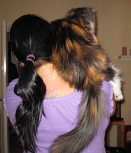 IMG_3190.jpg IMG_3190.jpg