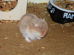 Emi 003.JPG Emi 003.JPG