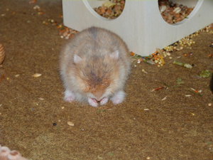 Emi 005.JPG Emi 005.JPG