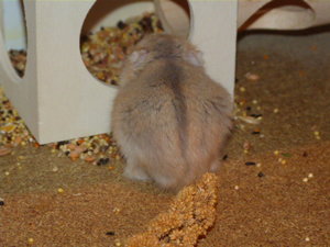 emi 006.JPG emi 006.JPG