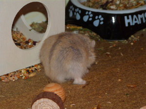 emi 008.JPG emi 008.JPG