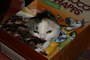 IMG_5485 (2) - Kopie.jpg