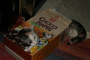 IMG_5489 (2) - Kopie.jpg