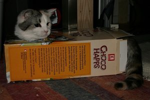 IMG_5503 (2) - Kopie.jpg