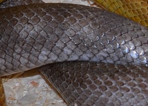 Kopie von DSC_0016.JPG