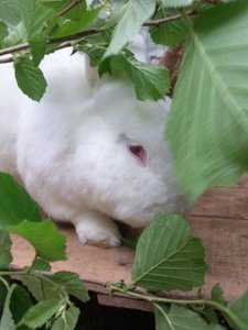 Foto2330.jpg Foto2330.jpg