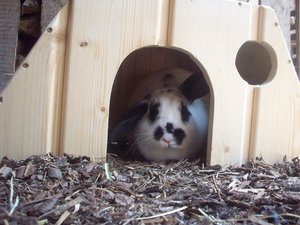 100_3275.JPG 100_3275.JPG