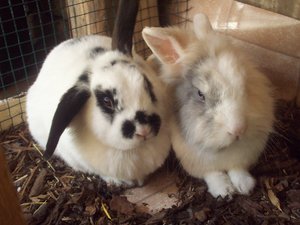 100_3258.JPG 100_3258.JPG