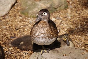 IMGP4282.JPG IMGP4282.JPG