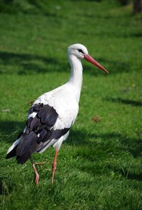 IMGP4348.JPG IMGP4348.JPG