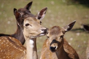 IMGP4387.JPG IMGP4387.JPG