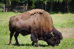 IMGP4422.JPG IMGP4422.JPG