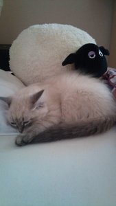 DSC01875.jpg DSC01875.jpg