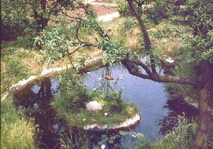 0101 - Kopie.jpg 0101 - Kopie.jpg