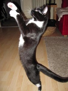 IMG_3199.jpg IMG_3199.jpg