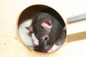 IMG_0016 (640x427).jpg IMG_0016 (640x427).jpg