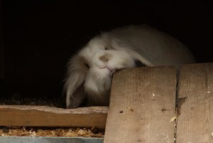 topninleo.JPG topninleo.JPG