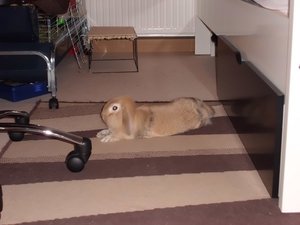 CIMG2723 - Kopie.JPG CIMG2723 - Kopie.JPG