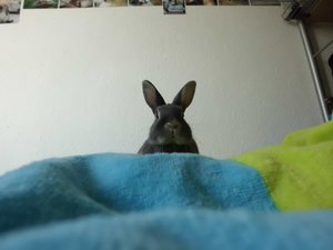 CIMG2729 - Kopie.JPG CIMG2729 - Kopie.JPG