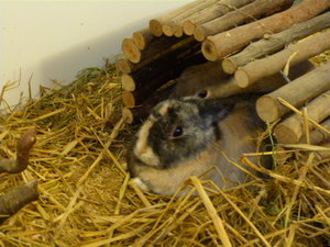 PICS 003.JPG PICS 003.JPG