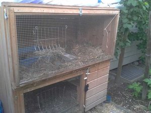 2012-06-02 10.15.12.JPG